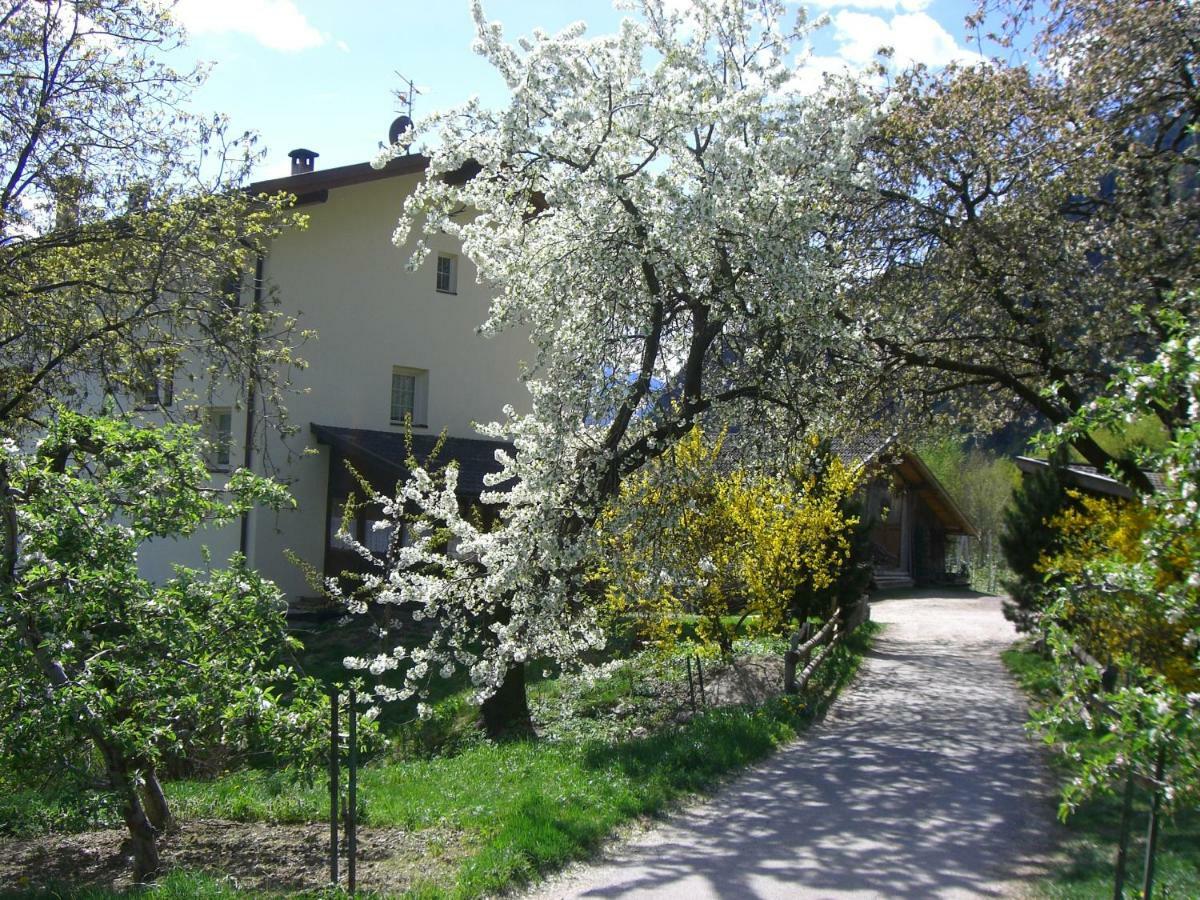 Apartamento Mareinhof - Urlaub Auf Dem Apfelbauernhof Parcines Exterior foto